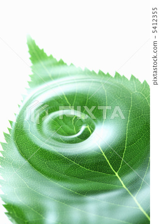 Leaves and water drops 5412355