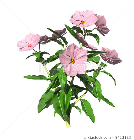 Nichinikiso 1c 5413183