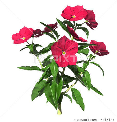 Nichiniscisso 1a Nichiniscisso 1a 5413185