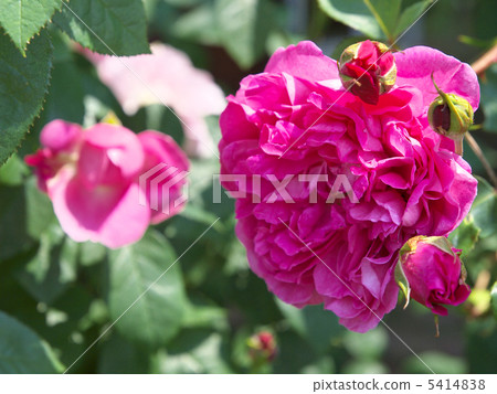 Port Merillon 5414838