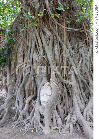 Ayutthaya remains 5415084