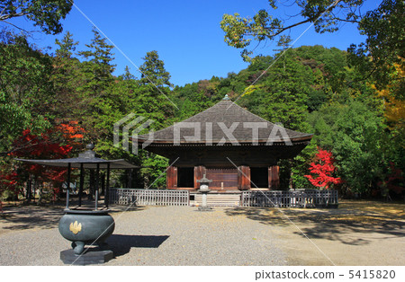 白水Amidado(國寶) 白水Amidado(國寶) 5415820