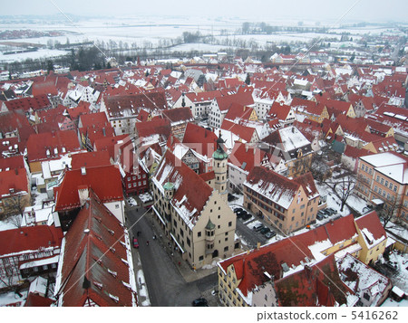 查看'丹尼爾' 查看'丹尼爾' 5416262