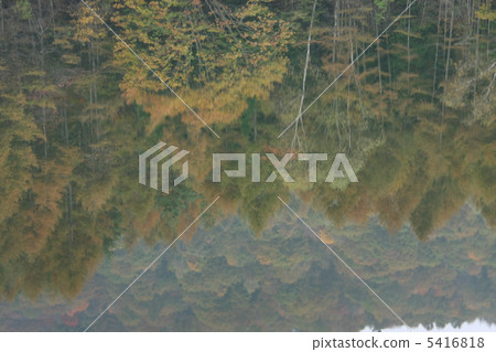 神社池塘 神社池塘 5416818