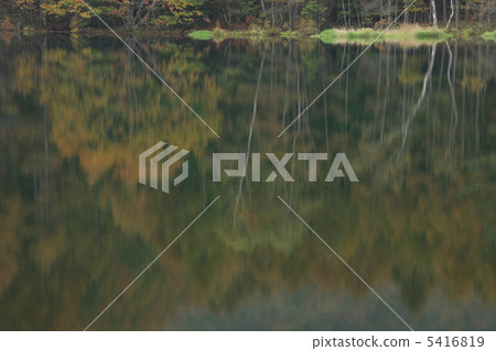 神社池塘 神社池塘 5416819