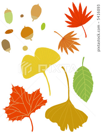 I found a small autumn! 5416893