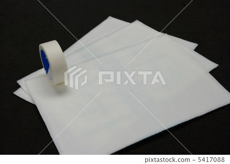 家禽和紙帶 5417088