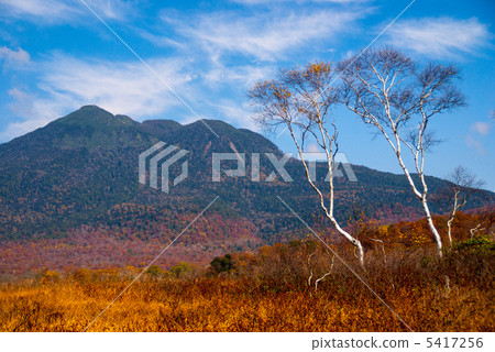 Fall of Ozegahara 5417256