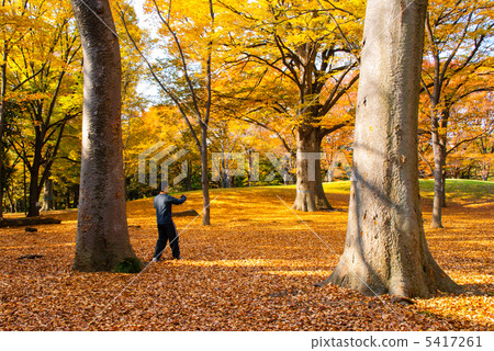 Late Autumn Park 5417261