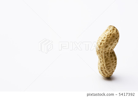 Peanut on white background Peanut on white background 5417392