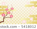 紅梅 5418012
