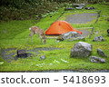 Deer of Hokkaido Country Bottomusu hot spring campground 5418693