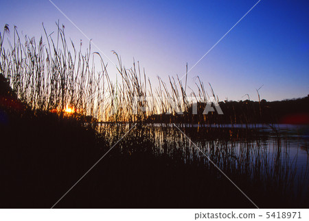 Dawn of Eena Bay 5418971