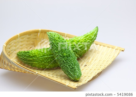 bitter gourd 5419086