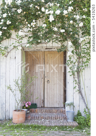 Roses and doors 5419263