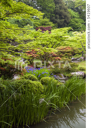 Minchoi Senko皇宮的中島 Minchoi Senko皇宮的中島 5419607
