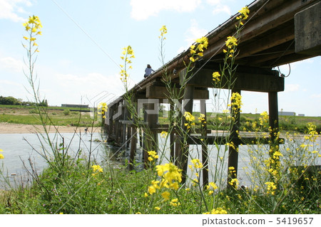 Flow bridge and flower 5419657