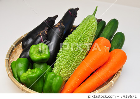 蔬菜 5419671