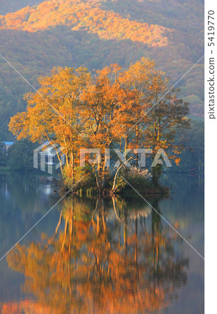 A small island with standing trees (Lake Sonohara) 5419770