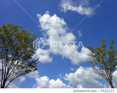 清新的天空 清新的天空 5420113