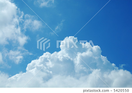 夏天 夏天 5420550