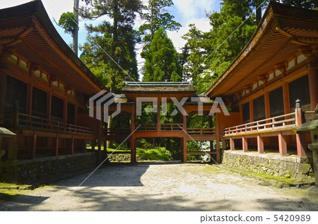 沒有大廳 沒有大廳 5420989