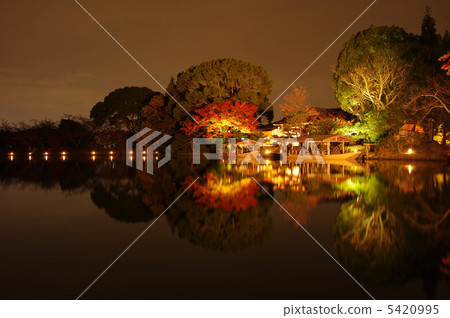 Light-up of Owariji Osawa pond 5420995