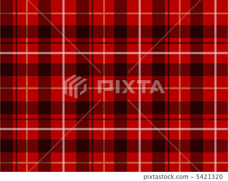 格子呢檢查 5421320