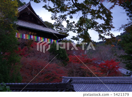 Hase Temple 5421379