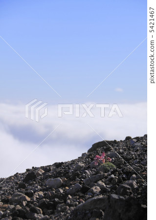 Cumkusa和雲海 5421467