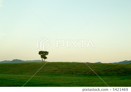 遼闊的土地 遼闊的土地 5421469