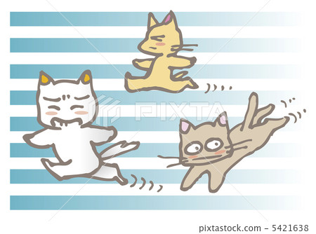 忙碌的貓 5421638