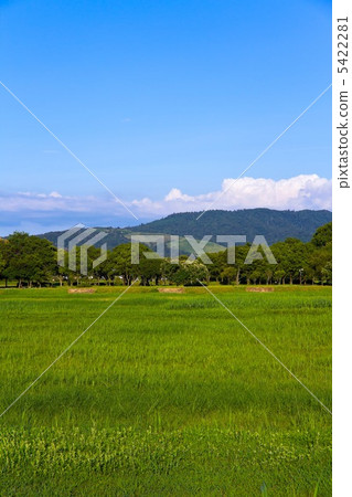 Heijojyo遺址 5422281