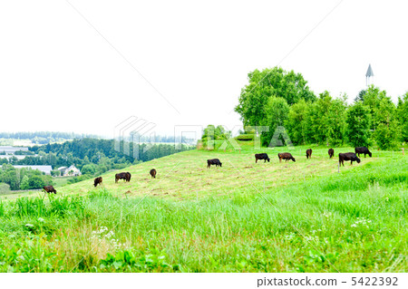 Biei's Farm 5422392