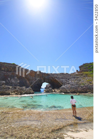 Ogasawara · fans in South Island 5422850