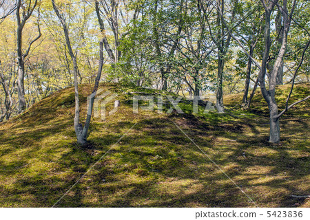 森洞故宮 5423836