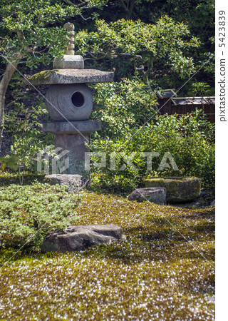 朝鮮皇宮Chowan燈籠和貓頭鷹手碗 5423839