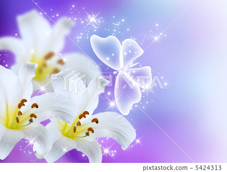 Lilies blossom Lilies blossom 5424313