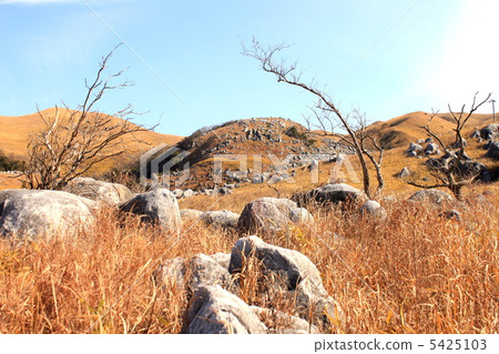 Winter Hiraodai Winter Hiraodai 5425103