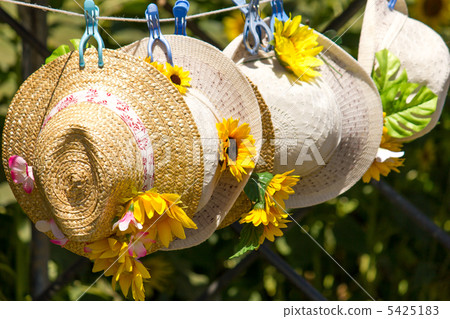 草帽 草帽 5425183