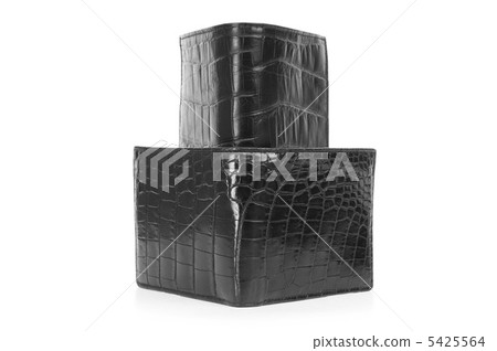 Wallet isolated on the white background 5425564