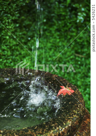泉水 5426231