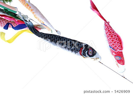 背景材料·白背鯉魚拖纜·水平位置 5426909