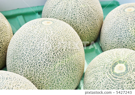 甜瓜盒包裝 5427243