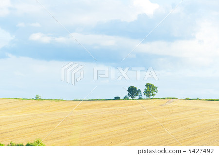 北海道美瑛山 北海道美瑛山 5427492