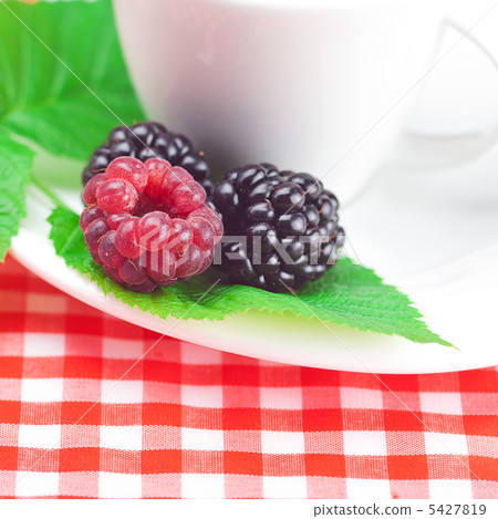 cup of tea,raspberry and blackberry with leaves on plaid fabric cup of tea,raspberry and blackberry with leaves on plaid fabric 5427819