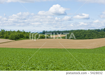 北海道的大自然』 北海道的大自然』 5428032