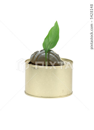 New Life New Life 5428148