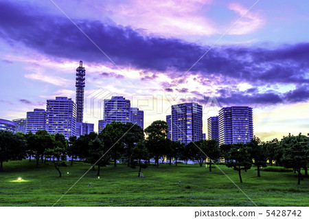 晚上橫濱Minatomirai(來自臨港公園) 晚上橫濱Minatomirai(來自臨港公園) 5428742