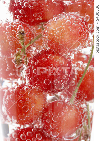 櫻桃在一杯 櫻桃在一杯 5430330